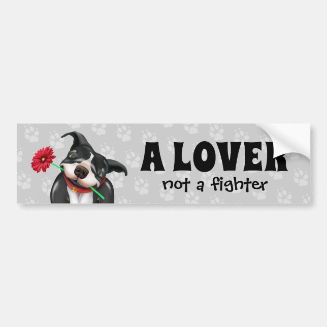 Pit Bull Bumper Stickers (Front)