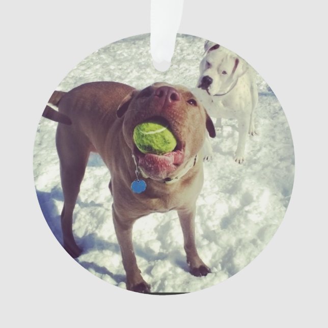 Pit Bull Christmas Ornament (Front)