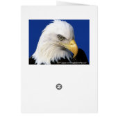 Pit Bull Contemporary Art (Back)