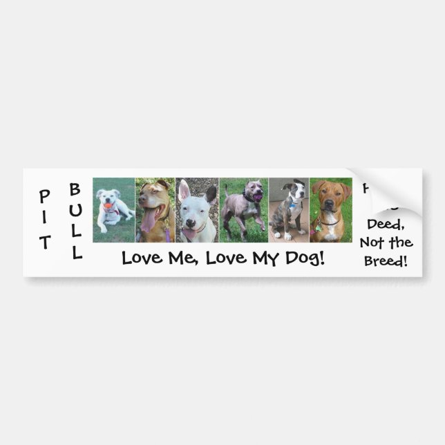 Pit Bull - Deed Not Breed Bumper Sticker (Front)