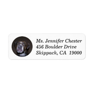 Pit-bull Dog Custom Return Address Label