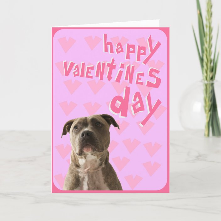 pit-bull-dog-happy-valentine-s-day-greeting-card-zazzle