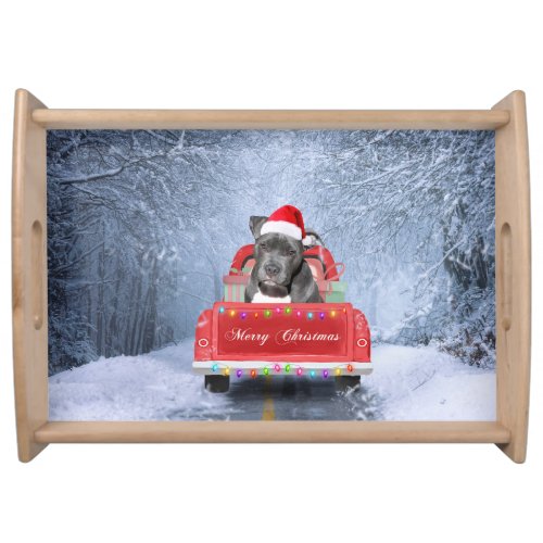 Pit Bull Dog in Snow sitting in Christmas Truck Serving Tray