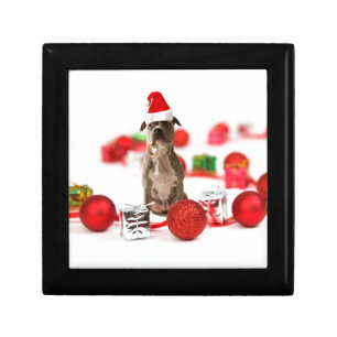 Pit Bull Dog with Gift box and Christmas Ornaments