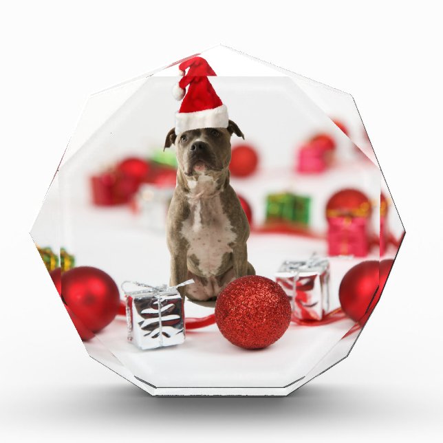 Pit Bull Dog with Gift box and Christmas Ornaments (Front)