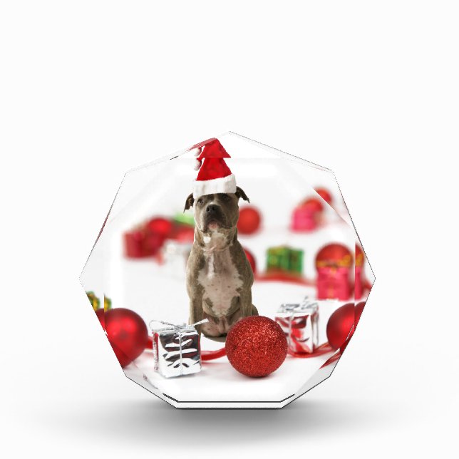 Pit Bull Dog with Gift box and Christmas Ornaments (Front)
