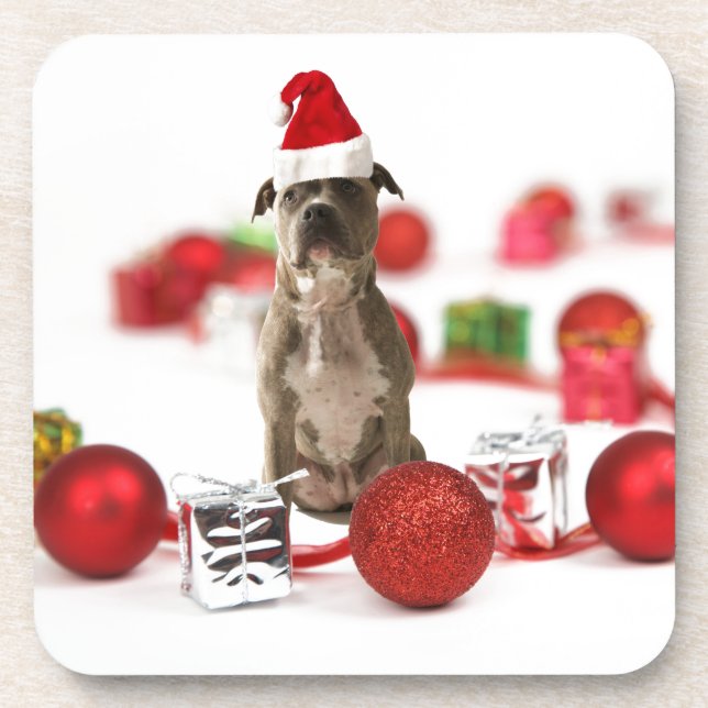 Pit Bull Dog with Gift box and Christmas Ornaments Coaster (Front)