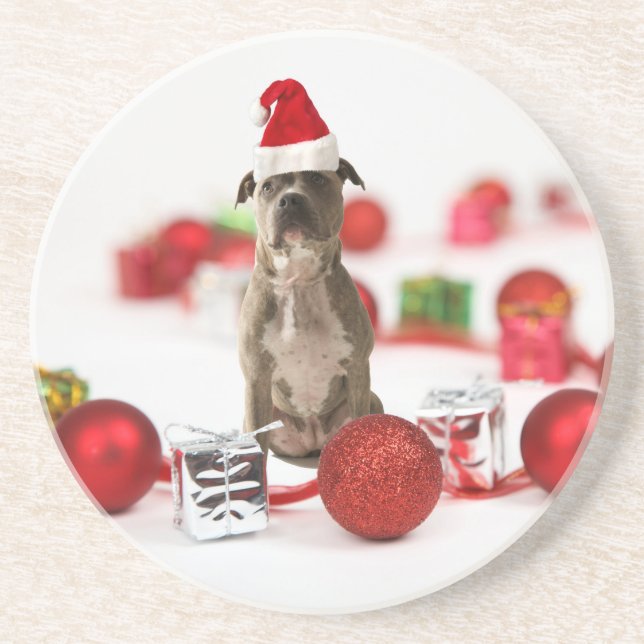 Pit Bull Dog with Gift box and Christmas Ornaments Drink Coaster (Front)
