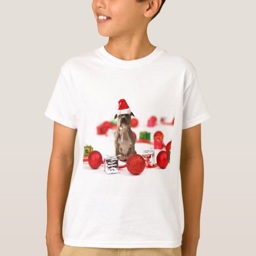 Pit Bull Dog with Gift box and Christmas Ornaments T_Shirt