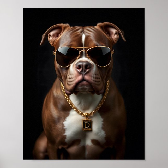 Pit bull Dog with sunglass and gold chain Poster (Front)