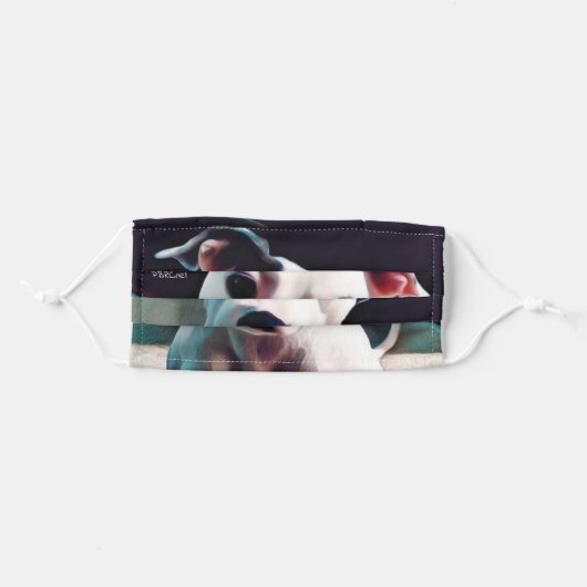Pit Bull Face Mask (Front, Folded)
