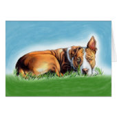 Pit Bull Hears You (Front Horizontal)