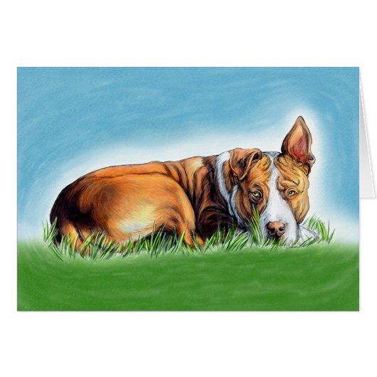 Pit Bull Hears You (Front Horizontal)