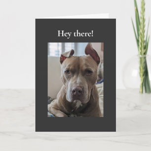 Pit Bull Hey There Card