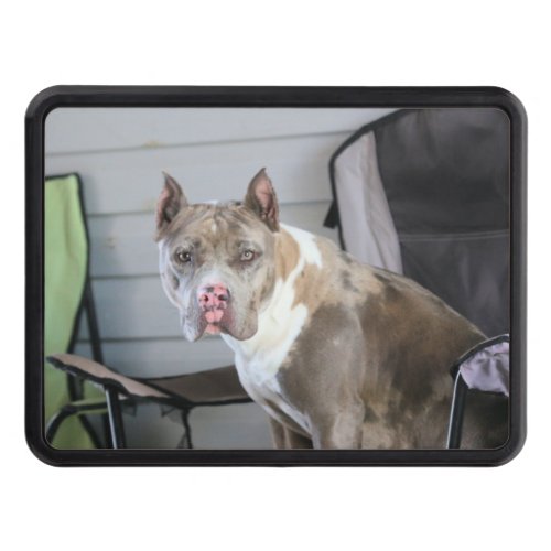 Pit Bull Hitch Cover