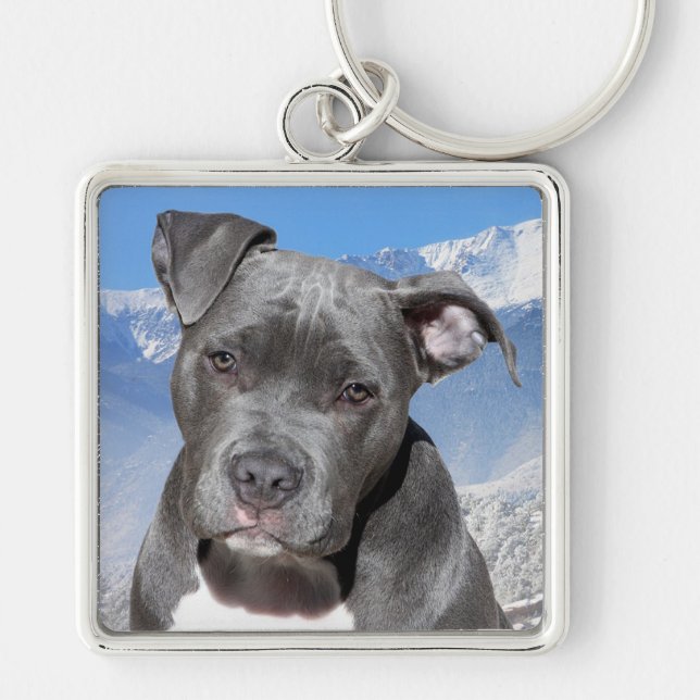 Pit Bull Keychain (Front)