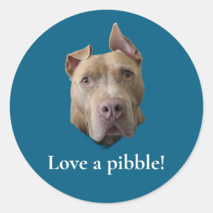 Pit Bull Love a Pibble Classic Round Sticker