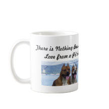 Pit Bull Love Couple