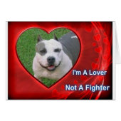 Pit Bull Lover (Front Horizontal)