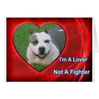 Pit Bull Lover Cards