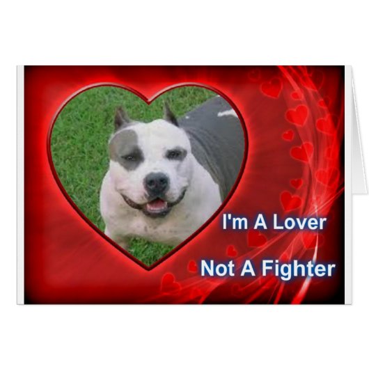 Pit Bull Lover Cards (Front Horizontal)