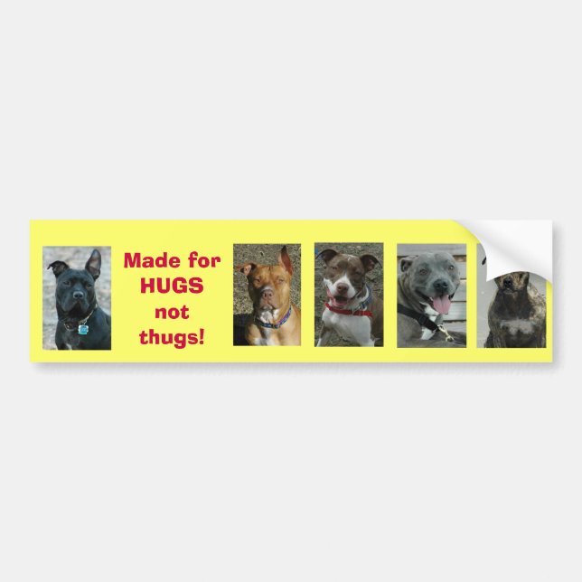 Pit Bull: Made for Hugs not thugs! Bumper Sticker (Front)
