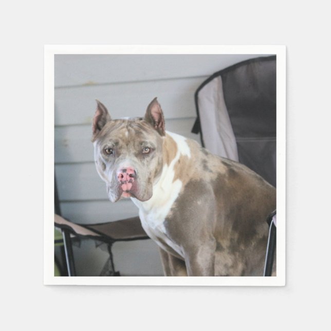 Pit Bull Napkins (Front)