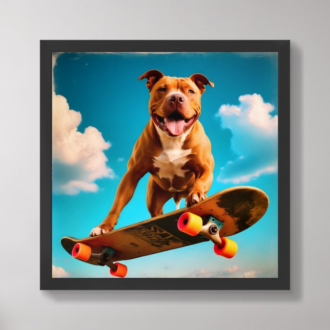 Pit Bull on a Skateboard Framed Art (Framed Front)