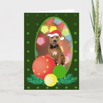Pit Bull Ornaments Holiday Card by freespiritdesigns at Zazzle