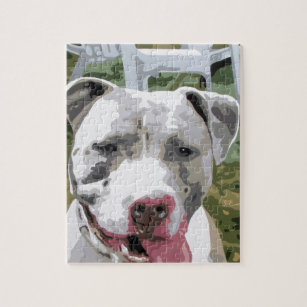 puzzle toys for pit bulls