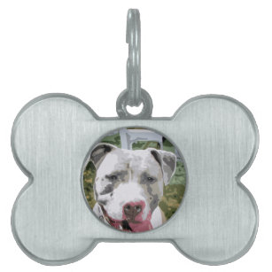 zazzle