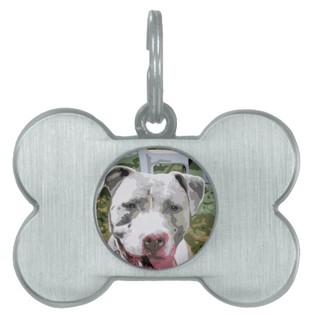 Pitbull Pet ID Tags Zazzle