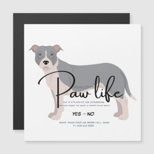 Pit bull play date invitation