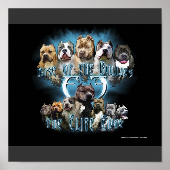Pit Bull poster (Front)