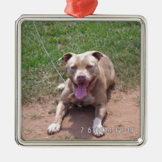 Pit Bull Products Metal Ornament