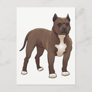 Pit Bull Puppy Dog - Hello, Miss You, Thank You Postcard