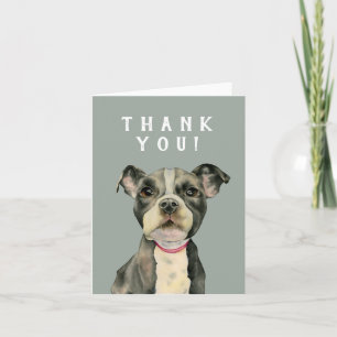 Pit Bull Puppy Dog Letterpress Thank You Card