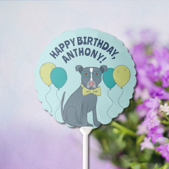 Pit Bull Puppy Dog Wearing Glasses with Balloons (Creator Uploaded)