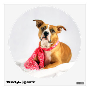 Pit Bull Puppy Love in Pink XOXO Wall Decal