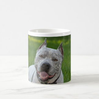 pit bull sharky dog mug good morning pitbull