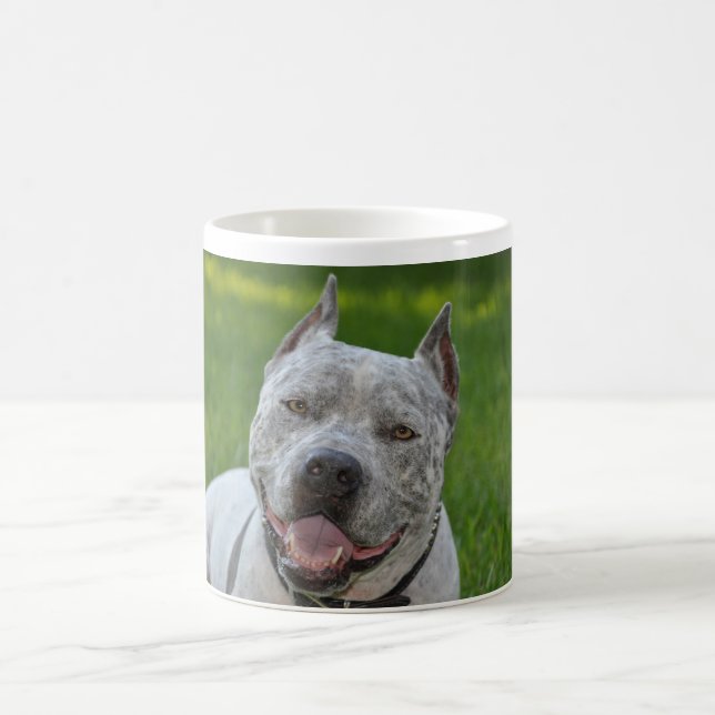 pit bull sharky dog mug good  morning pitbull (Center)