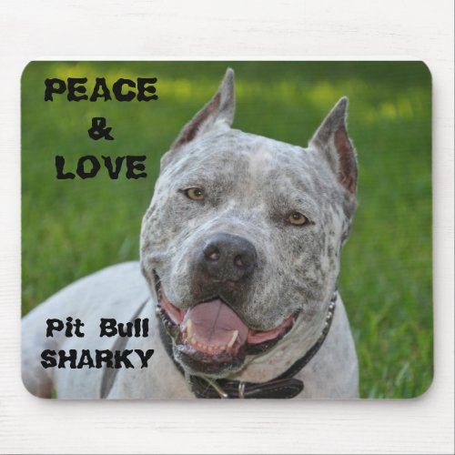 pit bull sharky mousepad dog pitbull smile