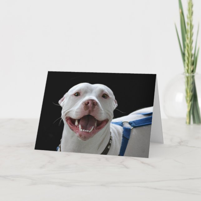 Pit bull smiling card (Front)