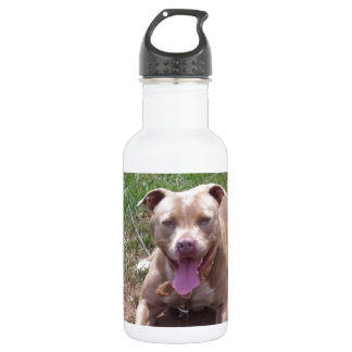 Pit Bull Stainless Steel Water Bottle