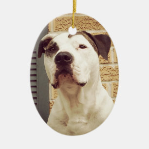 Pit Bull T-Bone Ceramic Ornament