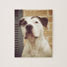 pitbull dog puzzles