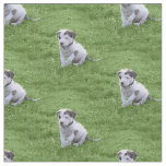 Pit Bull T-Bone Puppy Fabric