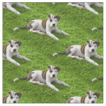 Pit Bull T-Bone Puppy Fabric