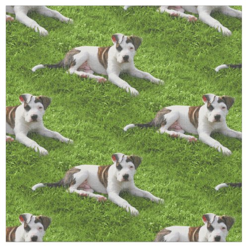 Pit Bull T_Bone Puppy Fabric