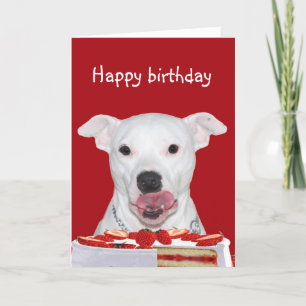 Pit Bull Terrier Birthday Card